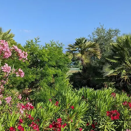 Avec Terrasse - Piscine - Tennis - Gardien Lejlighed *
